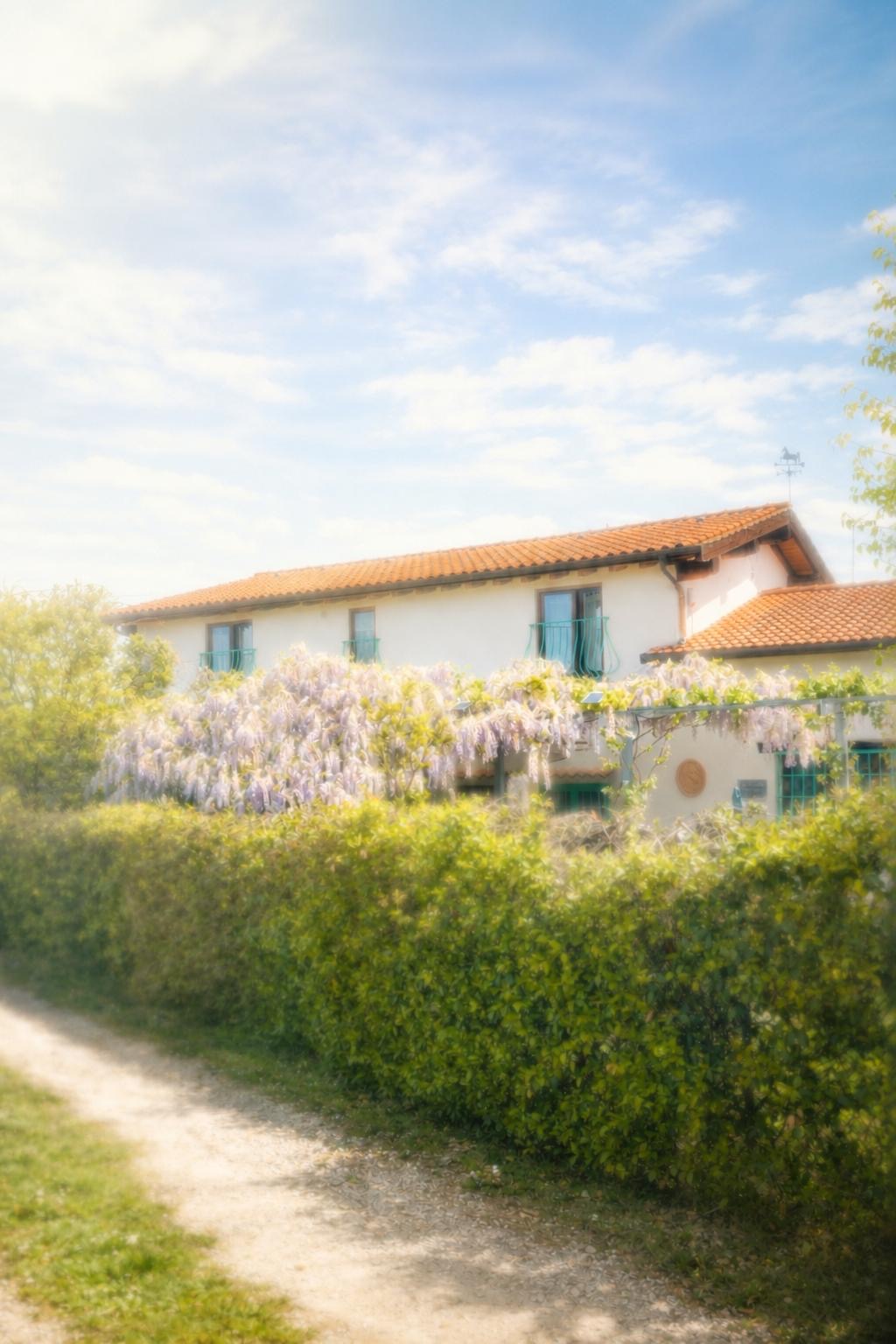 Il casale del B&B La Locanda Del Tevere con glicine in fiore